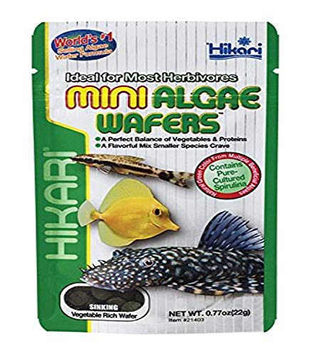 Hikari AHK21403 USA Inc - Cazadora de Algas (0,77 oz)