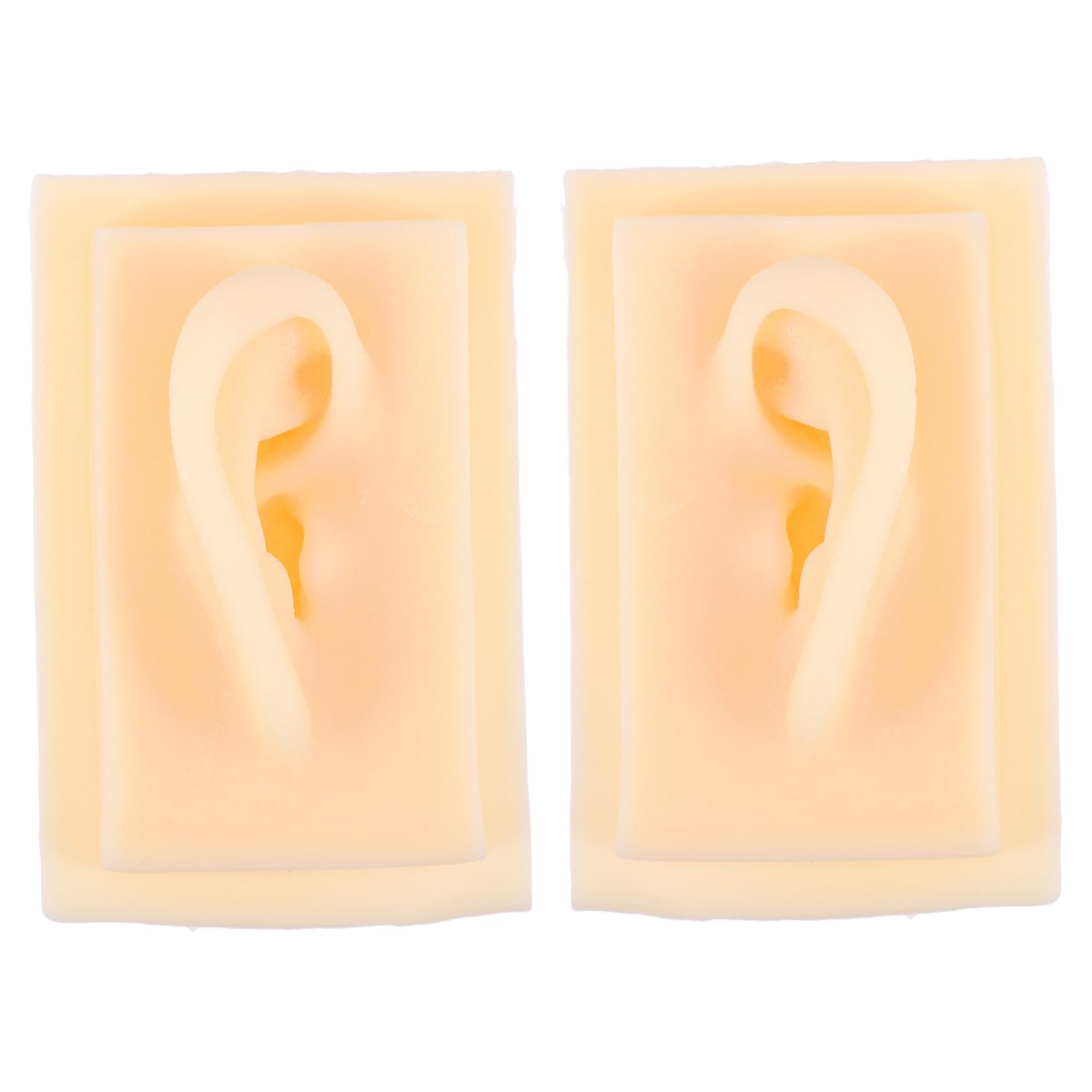 Healeved Educational Ear Model Kit 2 Pack Silicone Simulation Ear Models for Learning and Practice