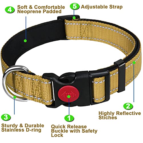 Dog Collar, Reflective Adjustable Basic Dog Collar with Soft Neoprene Padding, Durable Nylon Pet Collars for Puppy Medium Dogs - Image 2
