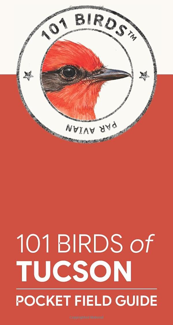 101 Birds of Tucson: Pocket Field Guide (101 Birds Pocket Field Guides)