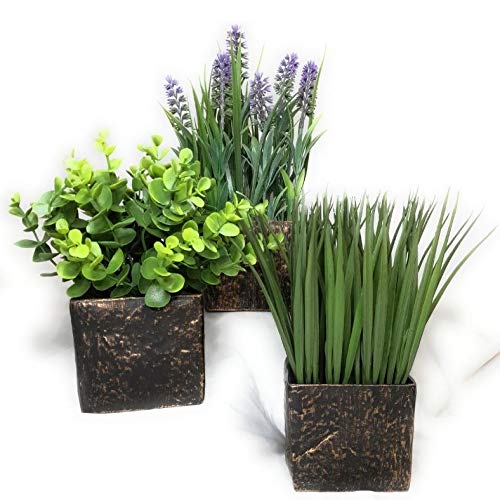 Artificial Plants London Ontario Decor For You