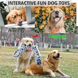 Dog-Rope-Toys-Indestructible-Dog-Toys-Dog-Chew-Toys-for-Aggressive-Chewers-Tough-Puppy-Teething-Chew-Toys-for-Boredom-Dental-Cleaning-Tug-of-War-Dog-Toy-Great-for-Small-to-Large-Breed - Cucciolini Doodles   Dog-Rope-Toys-Indestructible-Dog-Toys-Dog-Chew-Toys-for-Aggressive-Chewers-Tough-Puppy-Teething-Chew-Toys-for-Boredom-Dental-Cleaning-Tug-of-War-Dog-Toy-Great-for-Small-to-Large-Breed