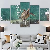 SIGNWIN 5 Panel Canvas Wall Art Modern Art Multicolor Nautical Photography Relax/Calm Reptiles Turtle for Home Decorations Ready to Hang - 60