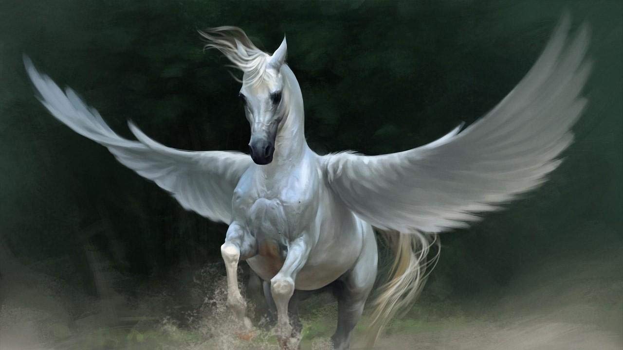 GDNUCLKE paint by numbers for adults,Painting by Numbers Acrylic for Adults,paint by numbers,DIY Oil Painting, Paint My Numbers,Pegasus Horse Wings