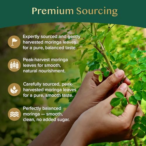 Image of VAHDAM, Moringa Tea (100 Tea Bags)| Caffeine Free, Non-GMO, Indian Origin, Eco-Friendly Individually Wrapped Tea Bags
