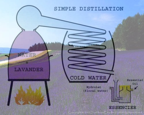 Amazon.co.jp: 銅製蒸留器 アランビック 3．0L プレミアム溶接タイプ