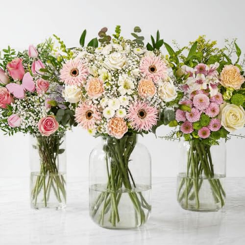 Florist Choice Fresh Flower Bouquet Stunning Mixed Stems for: Birthdays Anniversaries & Sympathy Next day Flowers Delivery (Standard)