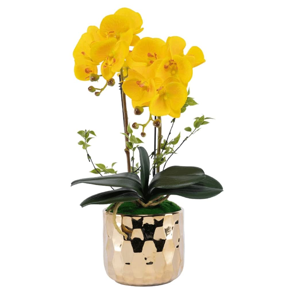 XDLEDMKIZ Orchid Artificial Flowers Potted Faux Orchids Artificial Phalaenopsis Flowers in Gold Porcelain Pot Durable for All Seasons Artificial Flowers natural look