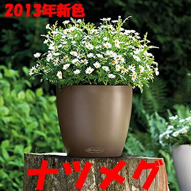 レチューザ ラウンド28 ストーングレー 底面給水型軽量プランター ドイツ製 Amazon.co.jp: ドイツ製 室内でも使える底面給水型軽量プランター