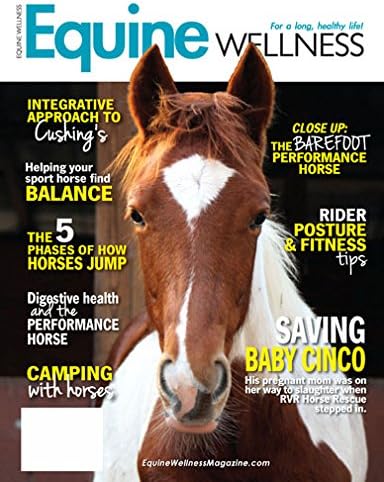 Equine Wellness