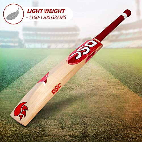 Image of DSC IBIS 440 English Willow Cricket Bat Short Handle, Multi, Mens