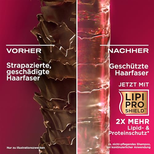 OGX Keratin Oil Conditioner 385ml kräftigende Anti-Haarbruch Haarspülung verhindert nachweislich Haarbruch und reduziert Spliss um bis zu 80Prozent* *bei Verwendung von Shampoo und Spülung