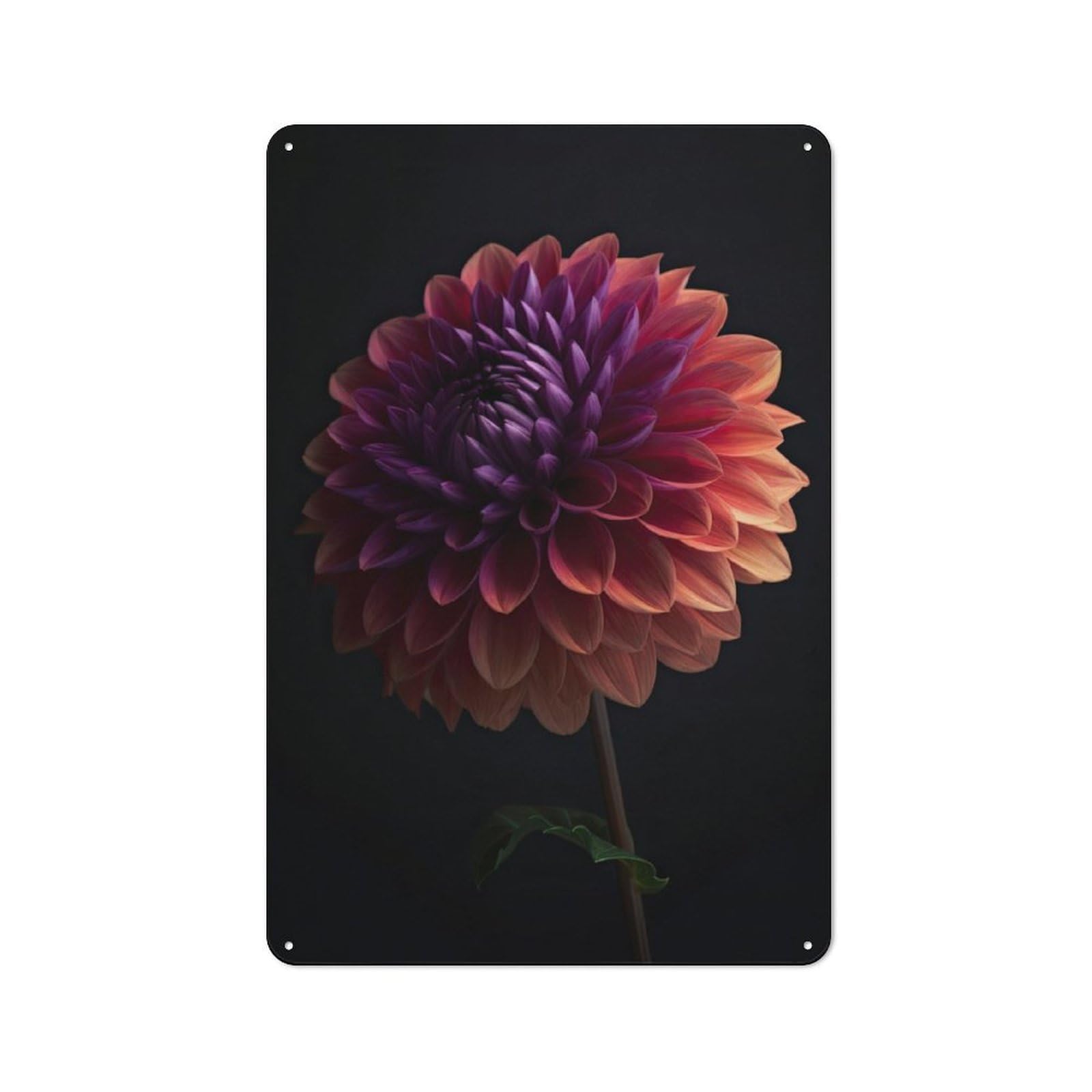 Junmoney Blooming Dahlia Flower For Garden Room Or Summerhouse, Rustic Tin Sign 30X20cm, Tin Sign Wall Decor For Garden Rooms And Summerhouses