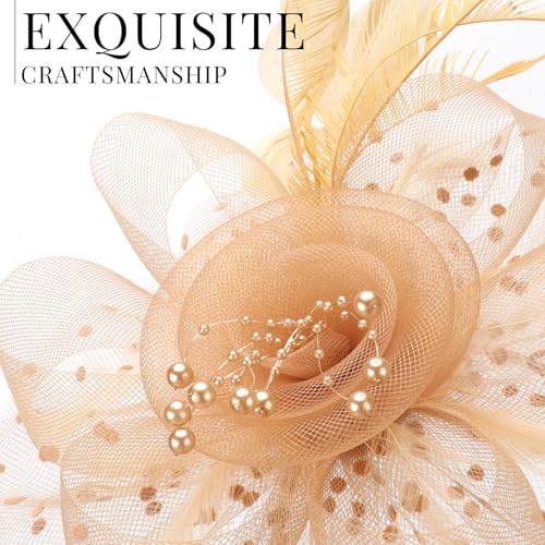 Image of DRESHOW Fascinators Hat Flower Mesh Ribbons Feathers on a Headband and a Clip Tea Party Headwear for Girls and Women