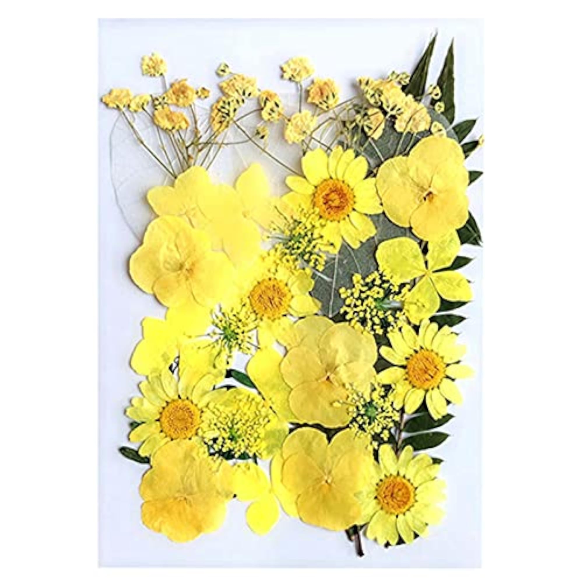 Real Dried Flower Set for Bookmark & Resin Nail Art