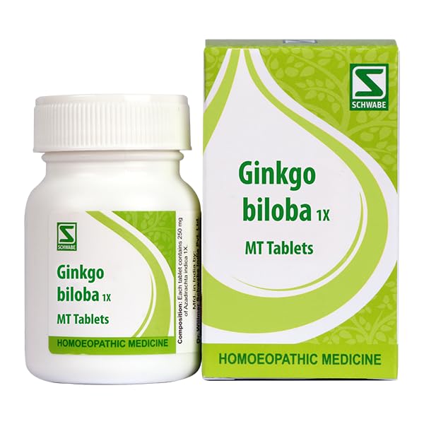 Dr.Willmar Schwabe Ginkgo Biloba 1X 20Gm