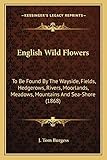 english wild flowers: to be found by the wayside, fields, hedgerows, rivers, moorlands, meadows, mountains and sea-shore (1868)