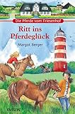 Die Pferde vom Friesenhof - Ritt ins Pferdeglück: Wirbel um zwei Shettys; Das Versteck im Leuchtturm