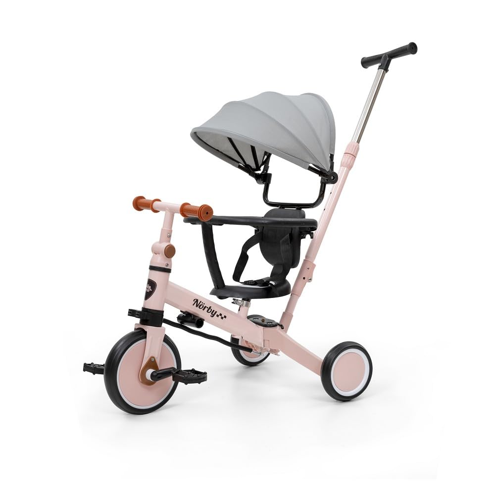 Interbaby - Triciclo "Norby" e Bici Evolutiva 5 in 1 con Capottina - 1-5 Anni