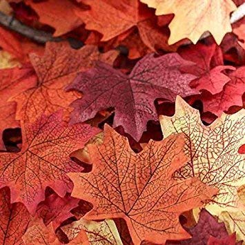 WorldCare® Sun Goodtimes Package Of Approximately 200 Assorted Rich Fall Colored Silk Leaves For Weddings, Events Decorating