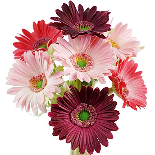 FiveSeasonStuff Real Touch Gerbera Daisy Artificial Flowers Arrangement & Wedding Bouquet (7 Floral Stems, Cheerful Mix Pinks)