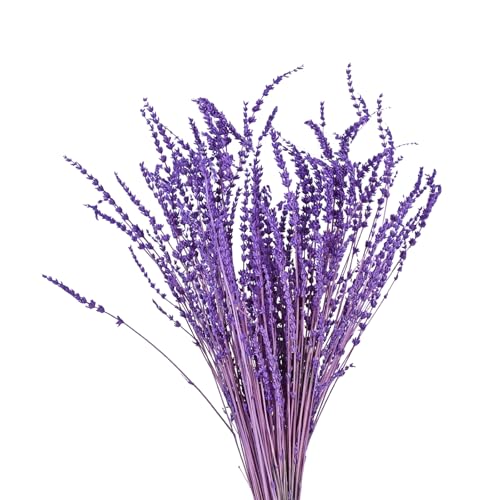 Getrockneter Lavendel - 30cm Trockenblumen, Bouquet Natürliche Lavendel Bündel 60g Blumen Dekorative Blumenstrauß für Partys Hochzeit Dekoration...