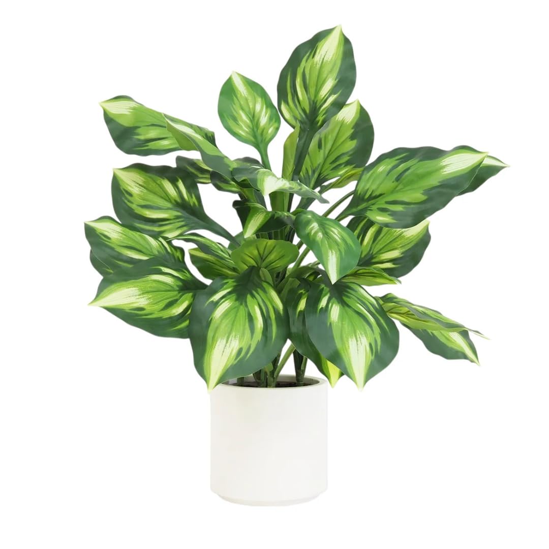 Ligne Déco – Dieffenbachia Camilla Artificiel 65cm | Plante Artificielle Pot Plastique Blanc Cassé Intérieur Imitation Terre | Decoration Maison Réaliste | Fausse Plante Interieur