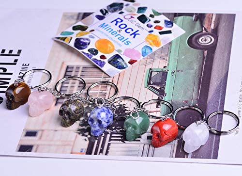 JIC Gem Crystal Stone Skull Keychain Set of 7 Red Jasper, Blue dot Stone, Dragon Blood Stone, Tiger Eye Stone, Clear quatz, Rose Quartz, Green Aventurine Healing Key Chain with Chakra Energy