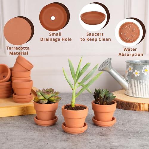 Belle Vous 16 Pack of Unfinished Terracotta Plant Pots & Saucers, 5cm/2 Inches - Image 4