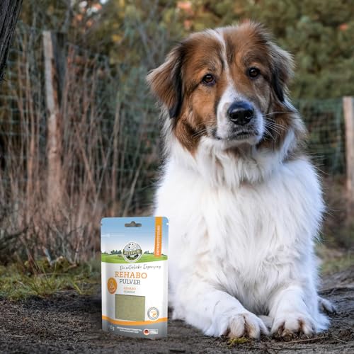 Bellfor Rehabo Pulver – Ergänzungsfuttermittel für Hunde mit Bierhefe & Insektenprotein – 80 g, zur Ergänzung der täglichen Fütterung, entwickelt mit Tierärzten