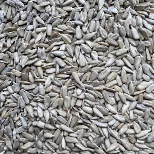 Leagrams Jumbo Sunflower Hearts for Wild Birds Shell-free High Oil Content 1416mm No Mess Bakery Grade (12.55kg)