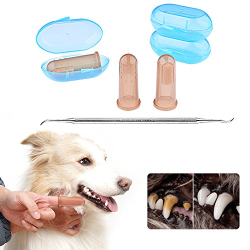 DryMartine Juego de limpieza dental para perros y gatos, cepillo de dientes para mascotas (3 piezas) + cabezal doble para perro con diseño de calculo, herramienta para quitar rascadores (1 pieza)