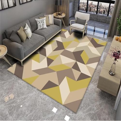 Tapis de salon minimaliste lavable idéal pour les chiens - 2