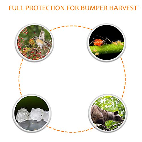 LoYinLo 6.5X9.8Ft Garden Insect Screen Bird Net Barrier Hunting Blind Garden Netting Mesh Bird Netting,Protecting Your Plant Fruits Flower - Thumbnail 6