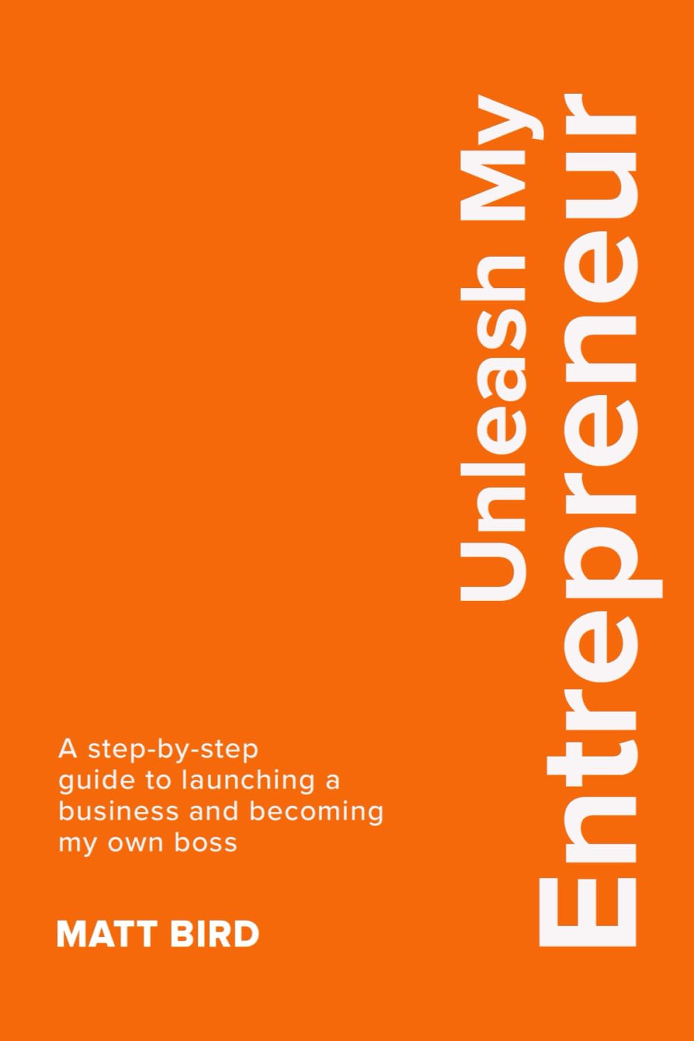 Unleash My Entrepreneur (PublishU)