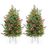 LIFEFAIR 30 Inch Outdoor Christmas Tree Set of 2,Pre-Lit LED Christmas Porch Decorations Outdoor Tree, 260 Branch Tips Lush,Pine Cones, Red Berries and Red Ball