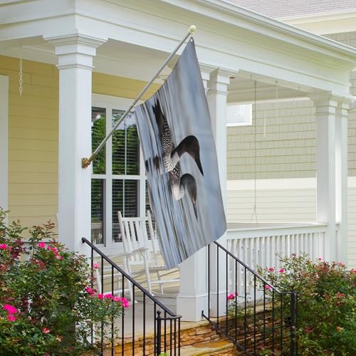 Drapeau d'oiseaux huards grand format double face - Bannière décorative de porche et cour - 6