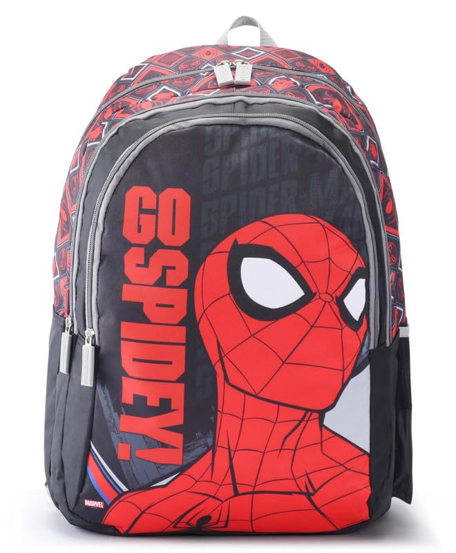 16 inches Spiderman School Bag Inspire Learning with Spider-Man's Style Age (6 yr to 8 yr)-image-19