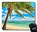 Produktbild Ocean Tapestry by, Exotic Beach Water and Palm Tree by The Shore with Clear Sky Landscape Image Gaming Mouse Pad,es, Green Blue White
