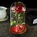 Beauty and the Beast Rose Enchanted Red Silk Rose