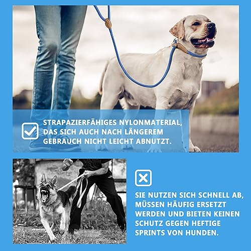 Supet Hundeleine Retrieverleine mit zugstopp Moxonleine Dauerhafte Weiche Geflochten mit Halsband Einstellbar Retriever Leinen für Kleine Mittlere und Große Hunde (Hellblau,S)