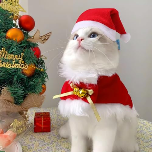 2pcs Disfraz Gato Navidad, Disfraz Perro Navidad, Traje Navidad Perro para Interesante, Ropa CáLida para Perros en Navidad con Capa y Gorro, Regalos NavideñOs para Perros y Gatitos (L) 2 2pcs Disfraz Gato Navidad, Disfraz Perro Navidad, Traje Navidad Perro para Interesante, Ropa CáLida para Perros en Navidad con Capa y Gorro, Regalos NavideñOs para Perros y Gatitos (L)