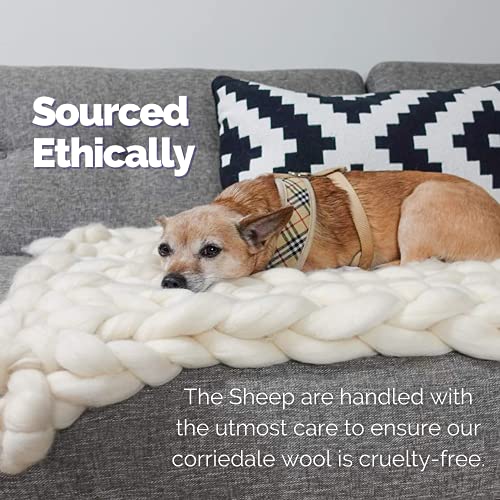 Revolution Fibers Corriedale Wool Roving 1 Lb (16 Ounces) For Spinning | Soft Chunky Jumbo Yarn For Arm Knitting Blanket |100% Natural Undyed (Off-White) Wool Yarn Bulk, Felting Core, Carded Stuffing #TOP6