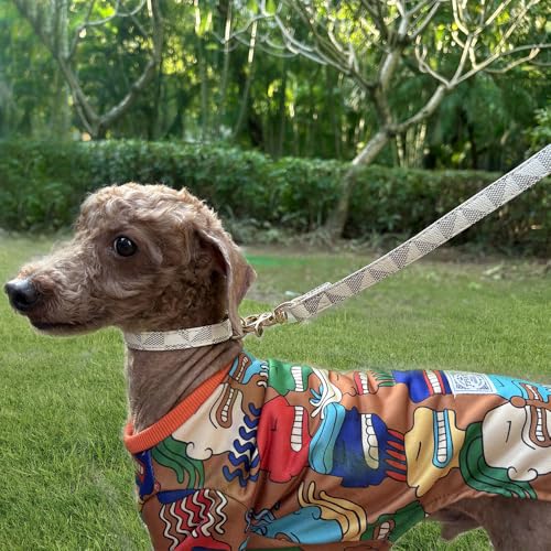 Viwind Hundehalsband Leder Verstellbares Leine Set 1.5/2cm Weiches Leder Geeignet für Katzen und Hunde (Weiß -Leine, 2cm-120cm)