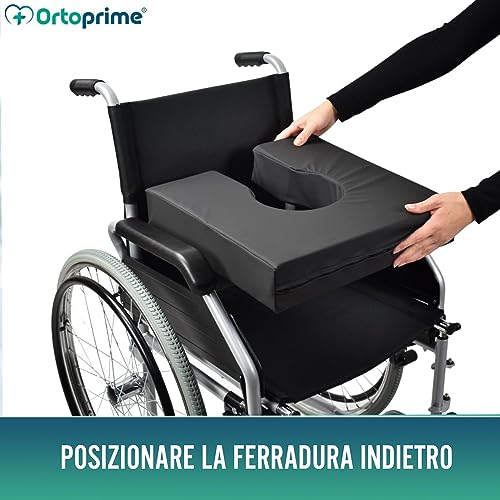 OrtoPrime 12900