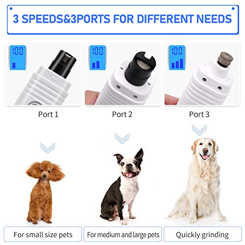 https://m.media-amazon.com/images/I/51th5phPyAL._SL500_.jpg