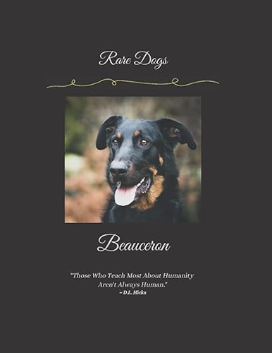 Beauceron: Rare Dog Breeds