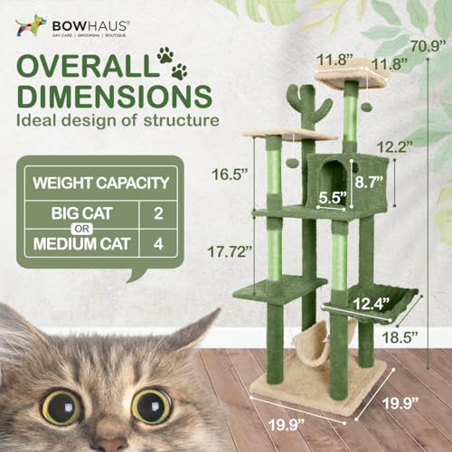 BOWHAUS Árbol Cactus para Gatos multi-niveles 70 pulgadas miniatura 2