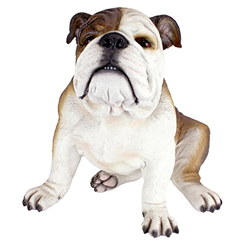 Design Toscano Buster die Bulldogge Britische Gartenstatue, Polyresin, vollfarbe, 40.5x35.5x35.5 cm