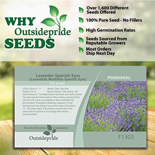 Amazon Com Outsidepride Perennial Lavandula Lavender Spanish Eyes Fragrant Herb Garden Heat Drought Tolerant Plants 100 Seeds Everything Else